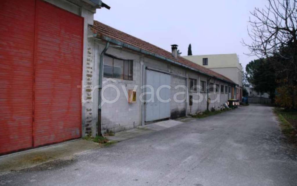 immagine annuncio 3 di 11