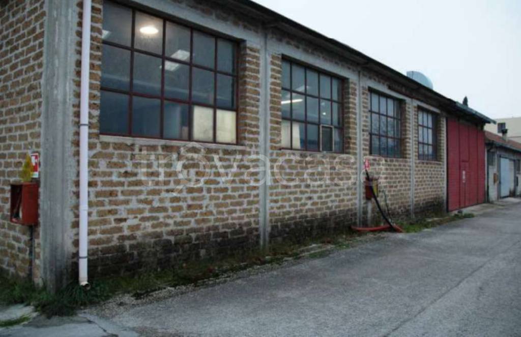 immagine annuncio 4 di 11