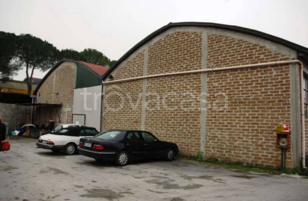 immagine annuncio 5 di 11