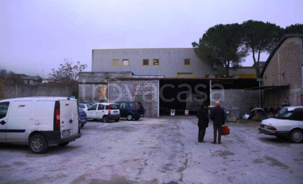 immagine annuncio 6 di 11