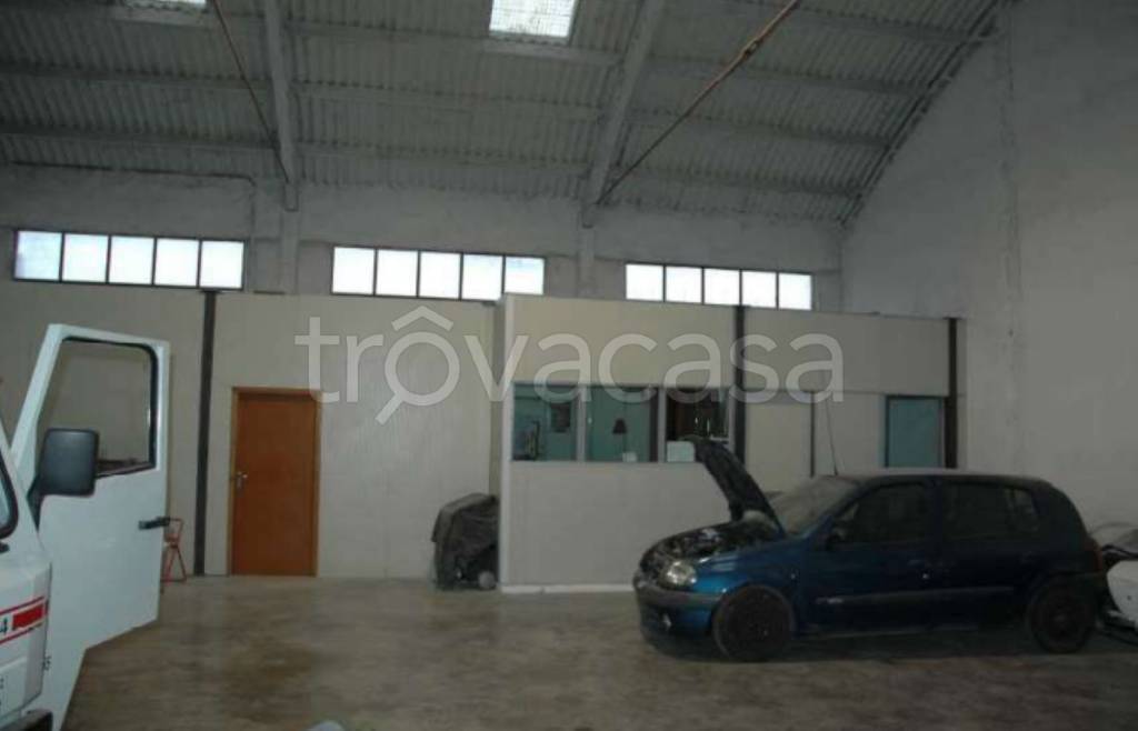 immagine annuncio 7 di 11