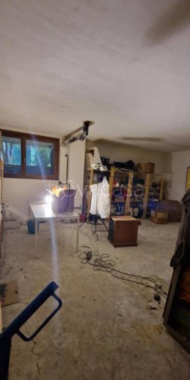 immagine annuncio 5 di 12