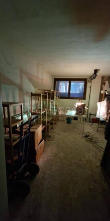 immagine annuncio 3 di 12