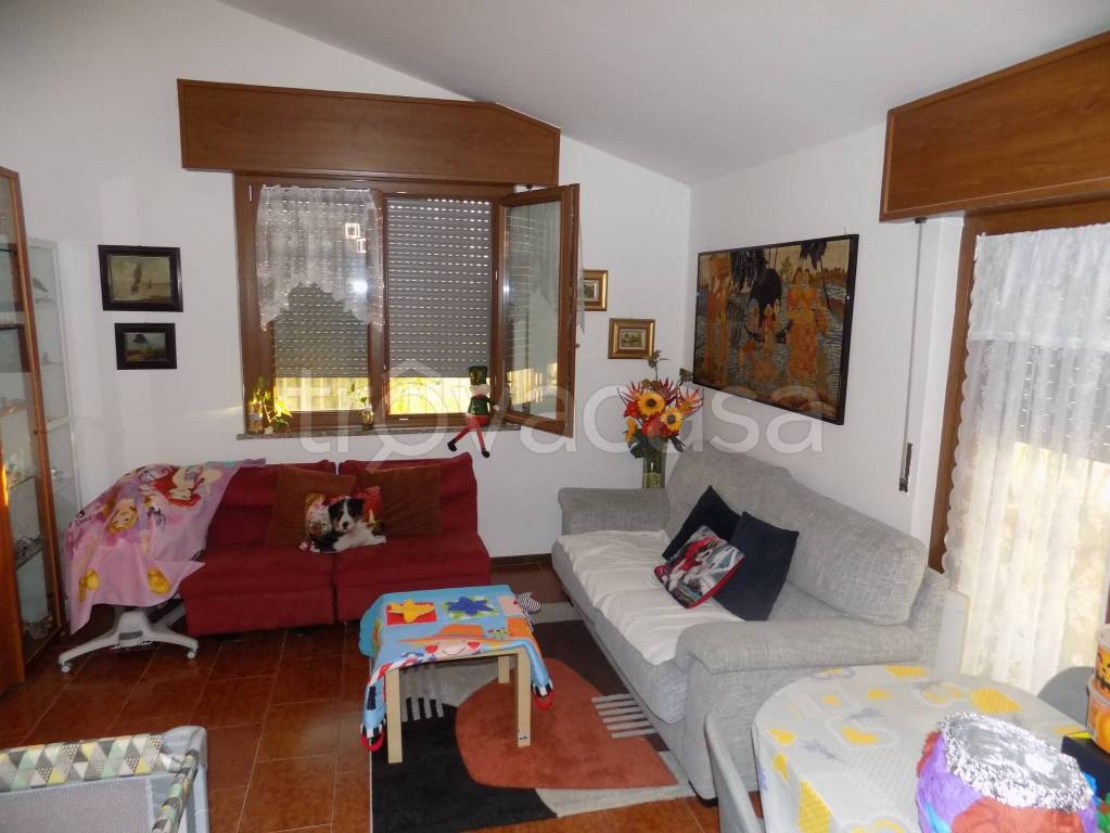 immagine annuncio 10 di 15