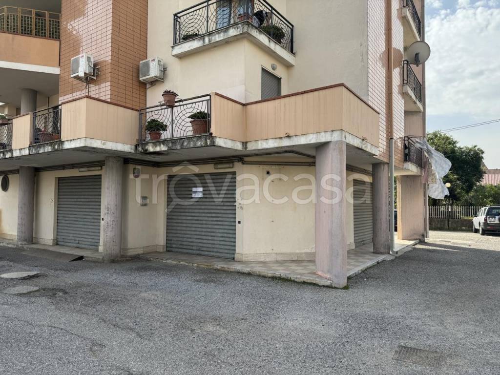 immagine annuncio 4 di 6