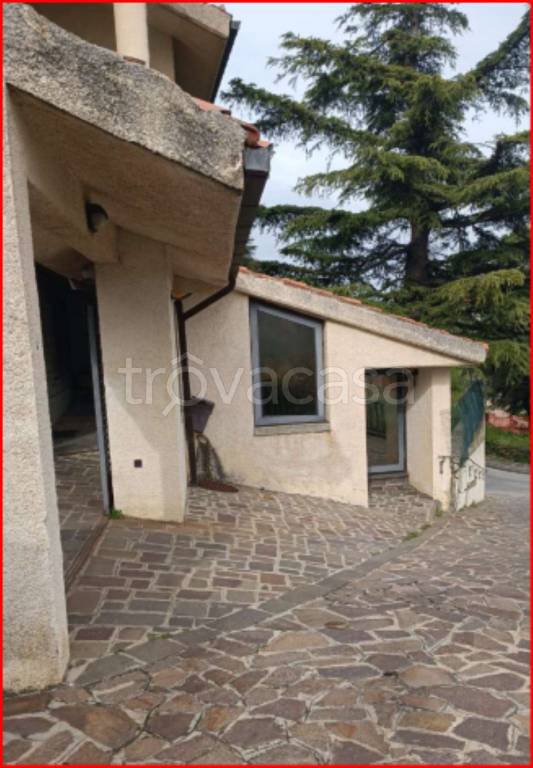 immagine annuncio 4 di 12