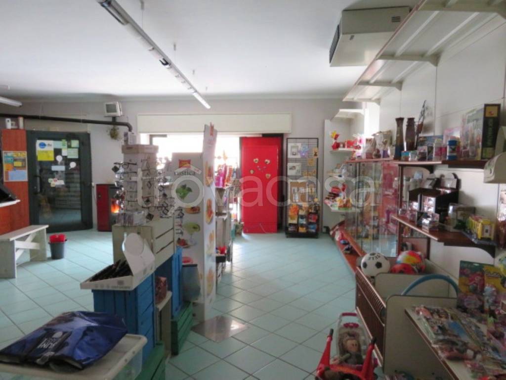 immagine annuncio 2 di 11