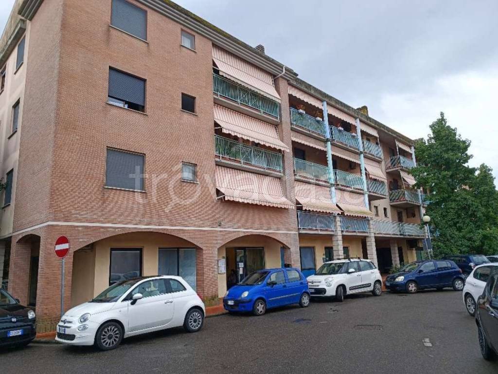 immagine annuncio 2 di 12