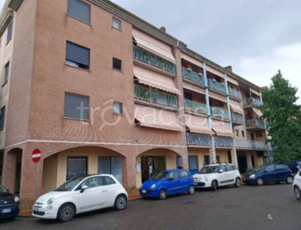 immagine annuncio 2 di 11