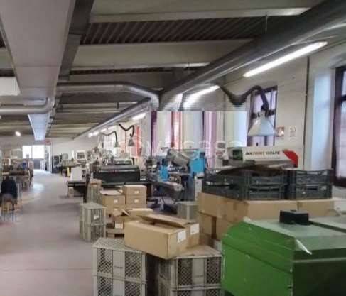 immagine annuncio 2 di 7