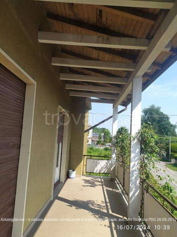 immagine annuncio 7 di 14