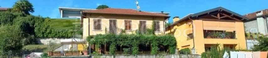 immagine annuncio 1 di 6