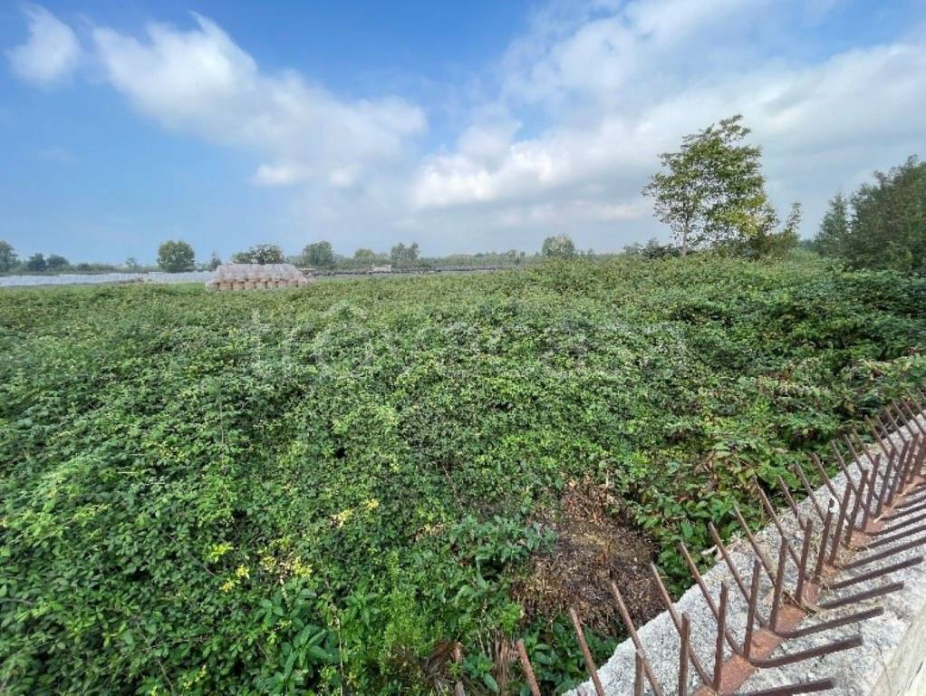 immagine annuncio 2 di 12