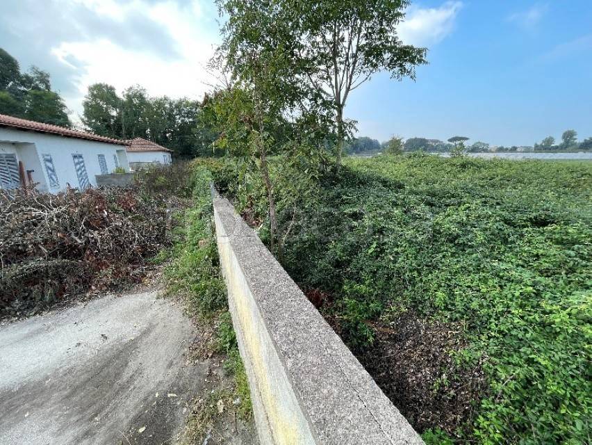 immagine annuncio 3 di 12