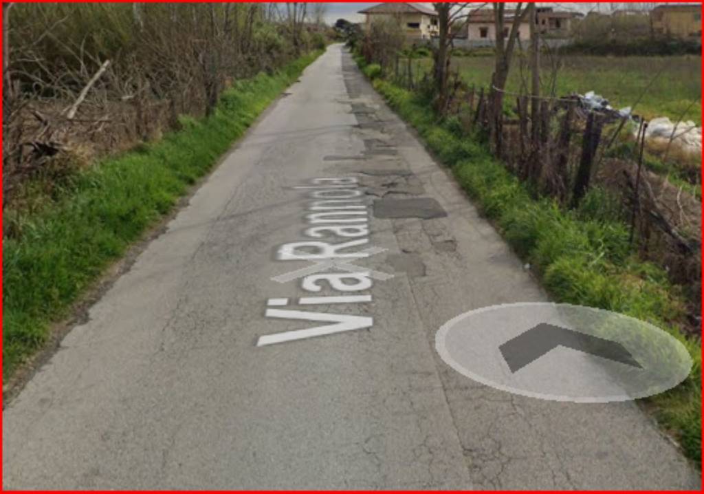 immagine annuncio 8 di 12