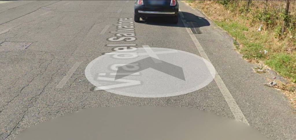 immagine annuncio 6 di 14