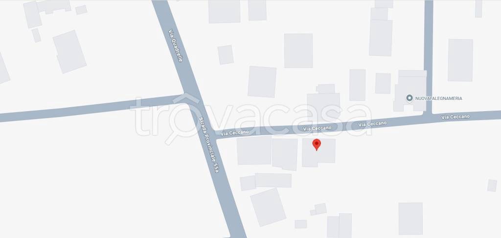 immagine annuncio 10 di 11