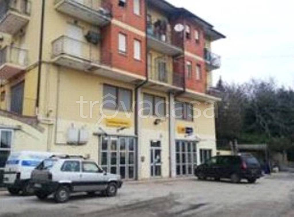 immagine annuncio 10 di 12