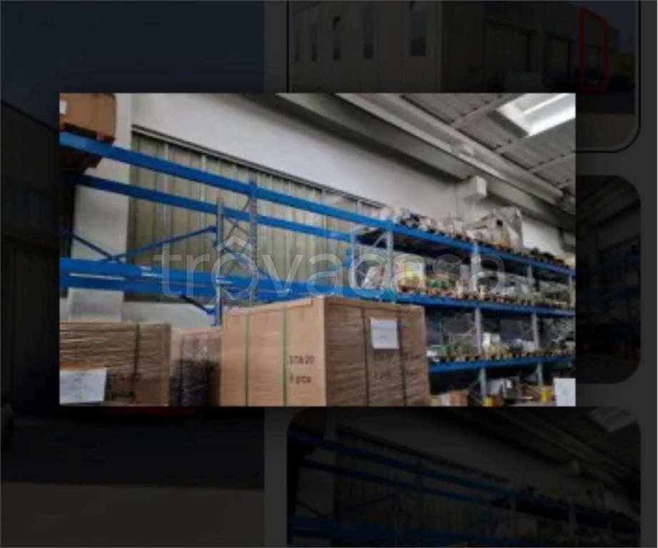 immagine annuncio 3 di 11