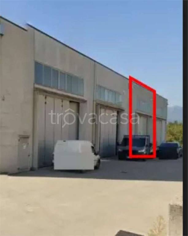 immagine annuncio 5 di 11