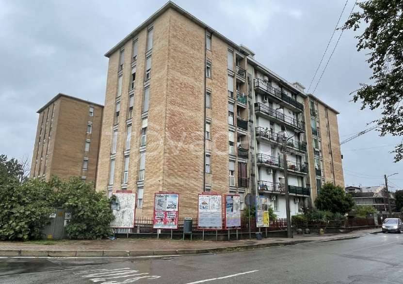 immagine annuncio 1 di 7