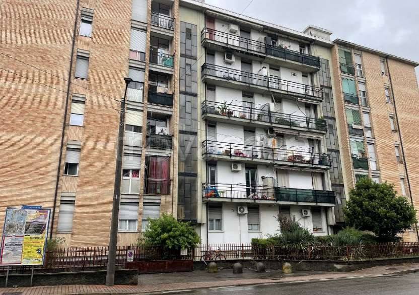 immagine annuncio 2 di 7