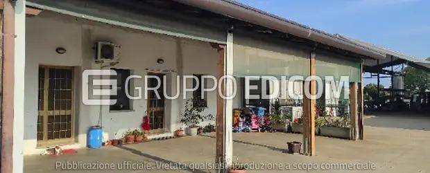 immagine annuncio 1 di 14