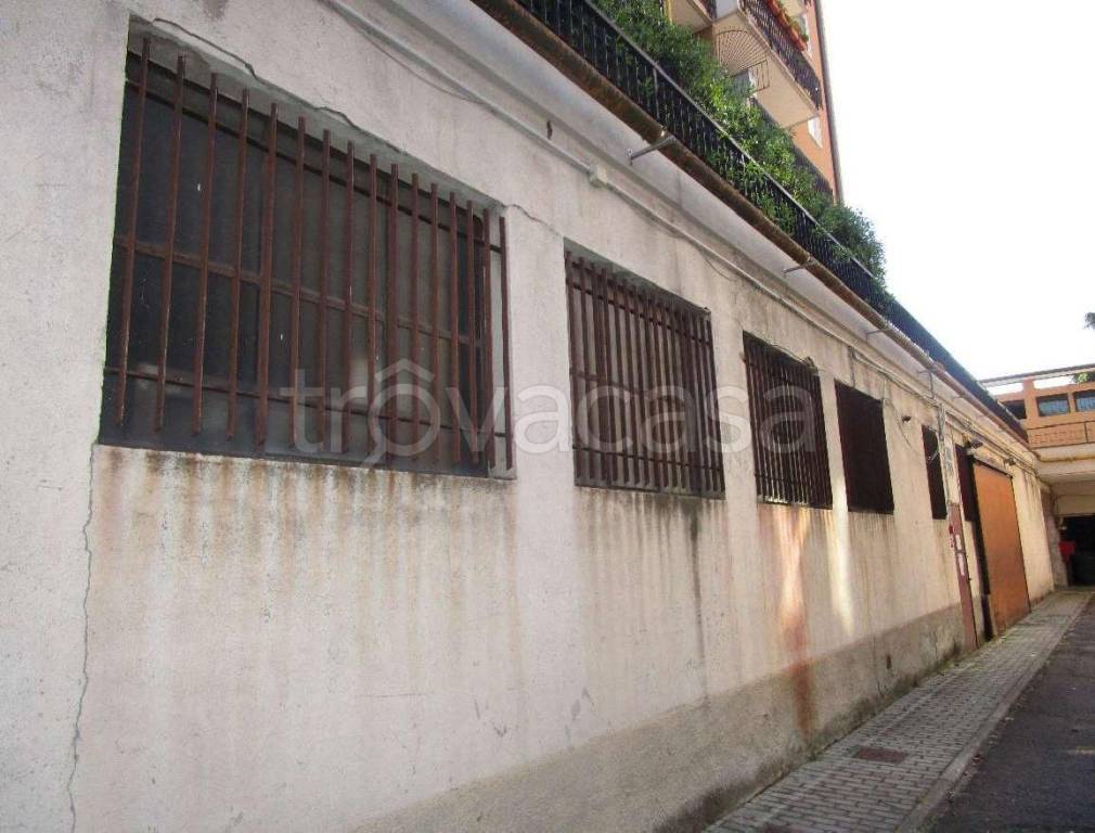 immagine annuncio 6 di 15