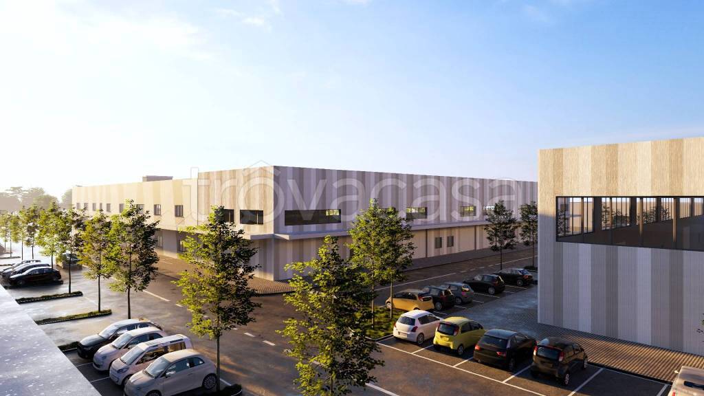 immagine annuncio 4 di 8