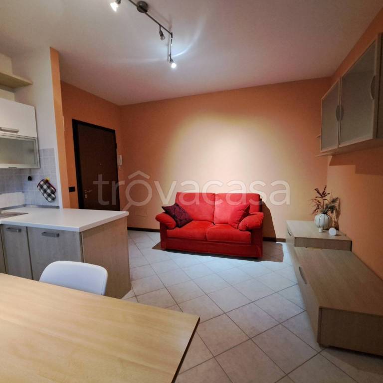 immagine annuncio 5 di 12