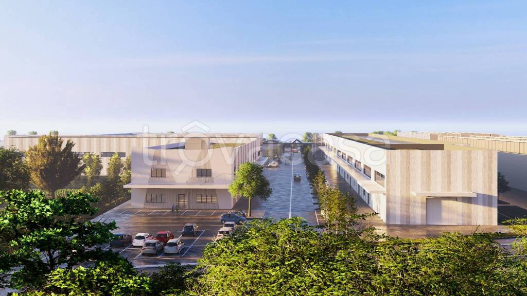 immagine annuncio 2 di 8