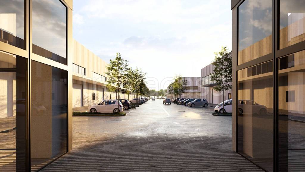 immagine annuncio 5 di 8