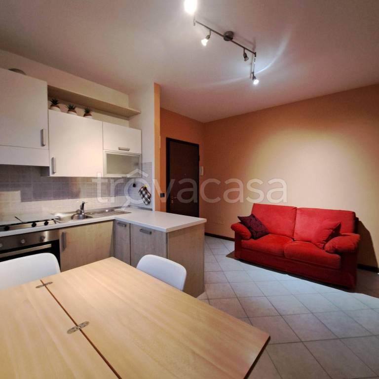 immagine annuncio 1 di 12