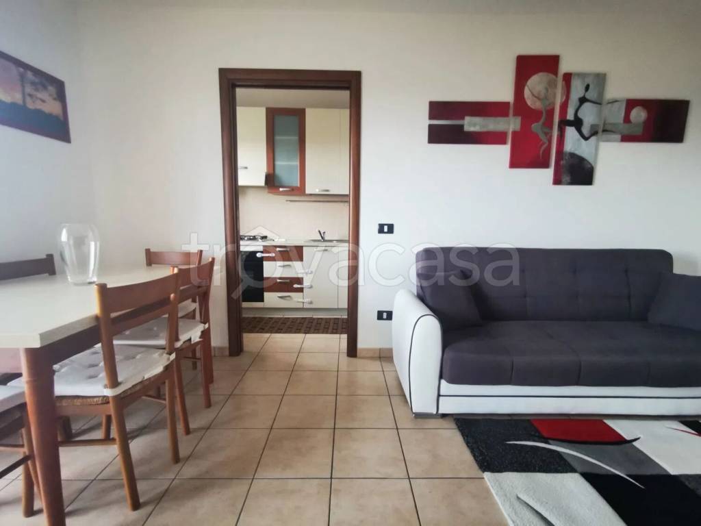 immagine annuncio 2 di 15