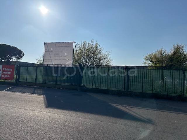 immagine annuncio 7 di 8