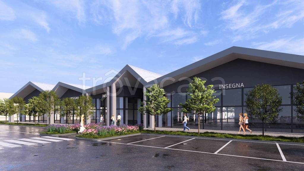 immagine annuncio 1 di 8