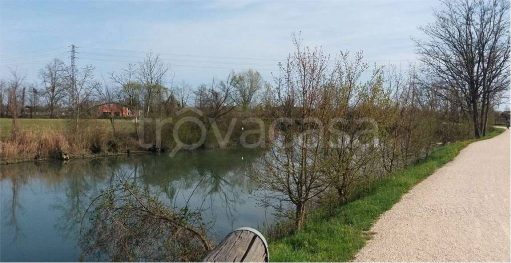 immagine annuncio 7 di 12