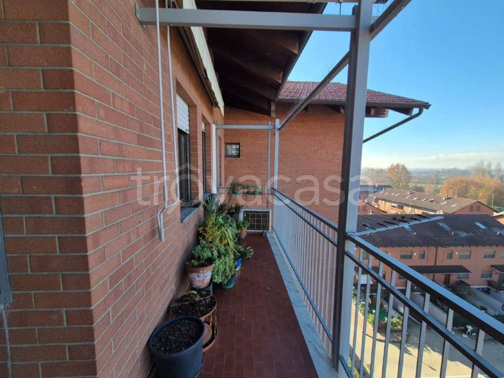 immagine annuncio 7 di 15