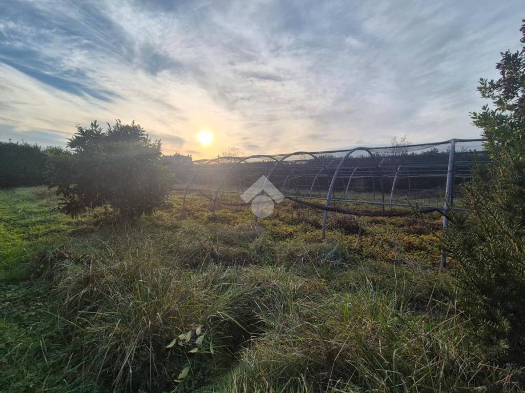 immagine annuncio 3 di 8