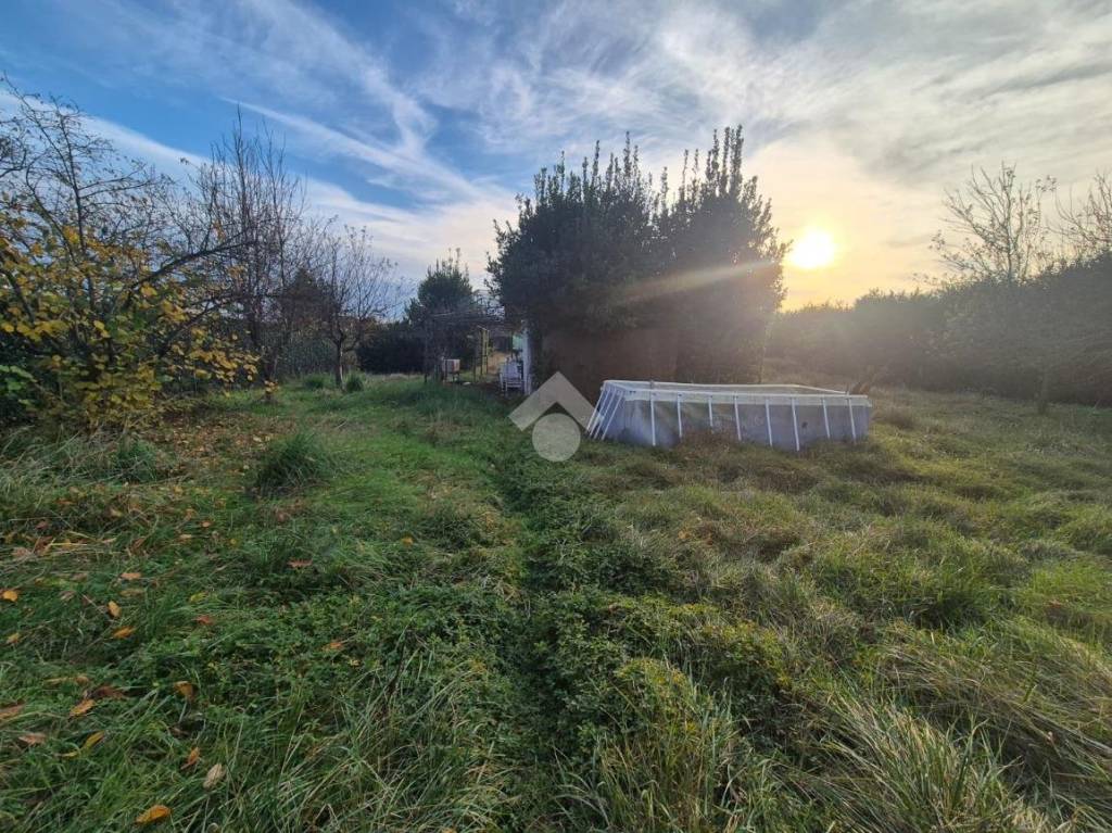 immagine annuncio 5 di 8