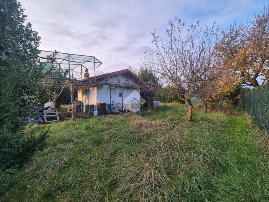 immagine annuncio 6 di 8