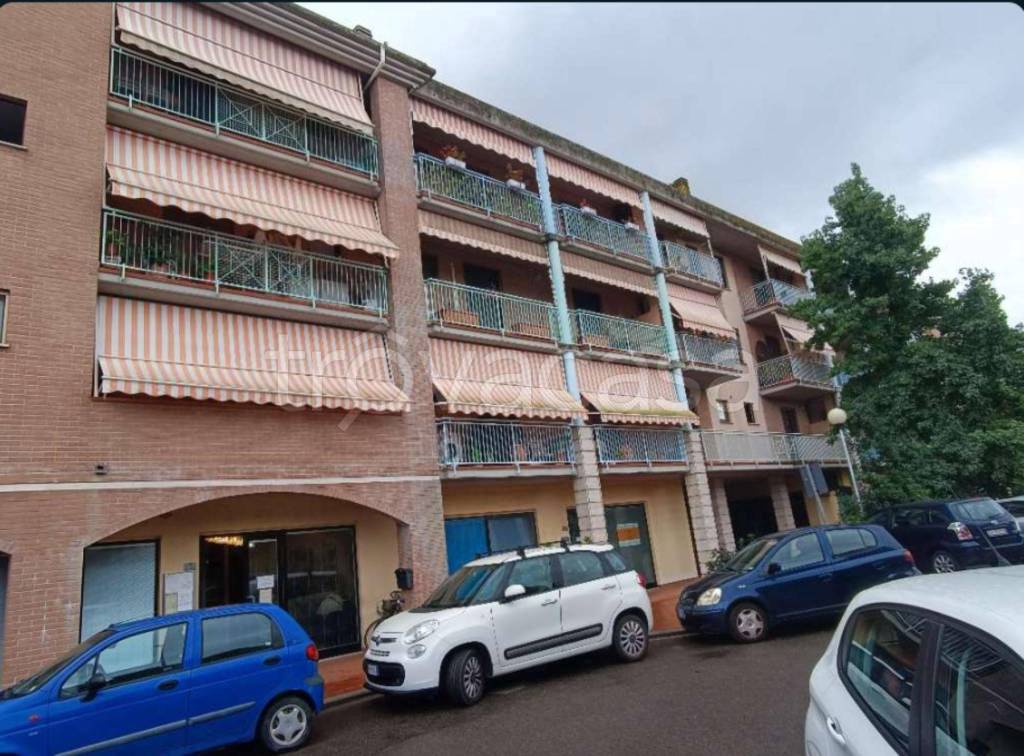 immagine annuncio 10 di 11