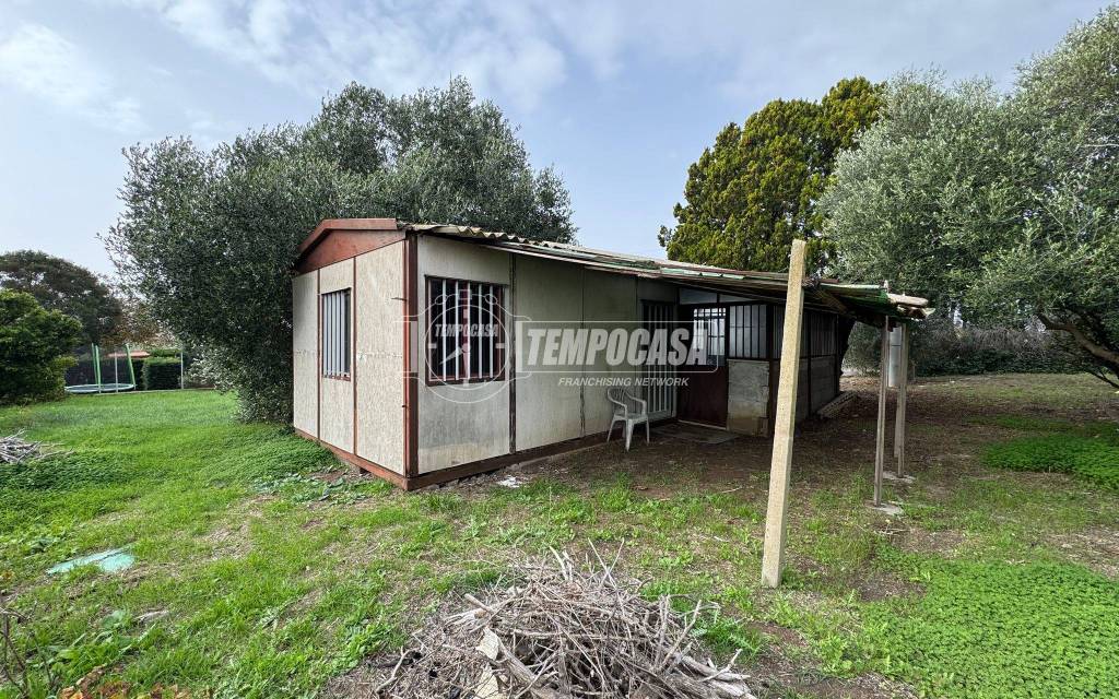 immagine annuncio 12 di 15