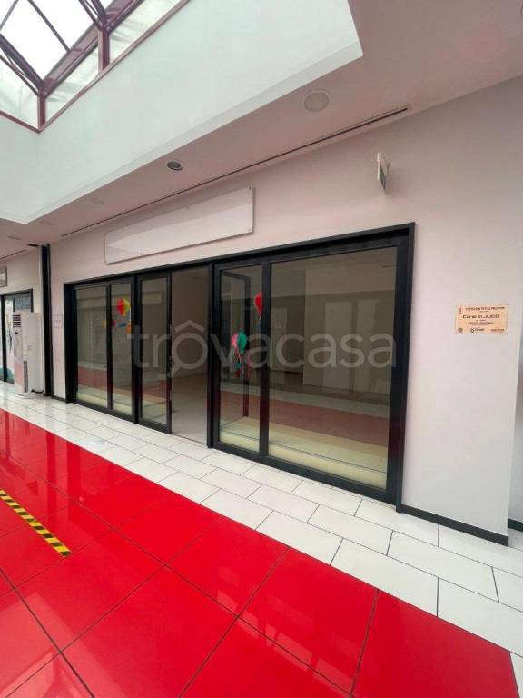 immagine annuncio 4 di 12