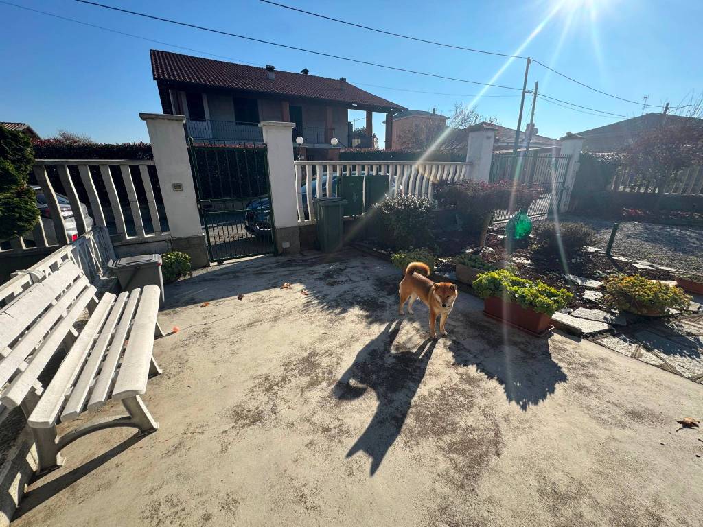 immagine annuncio 14 di 15