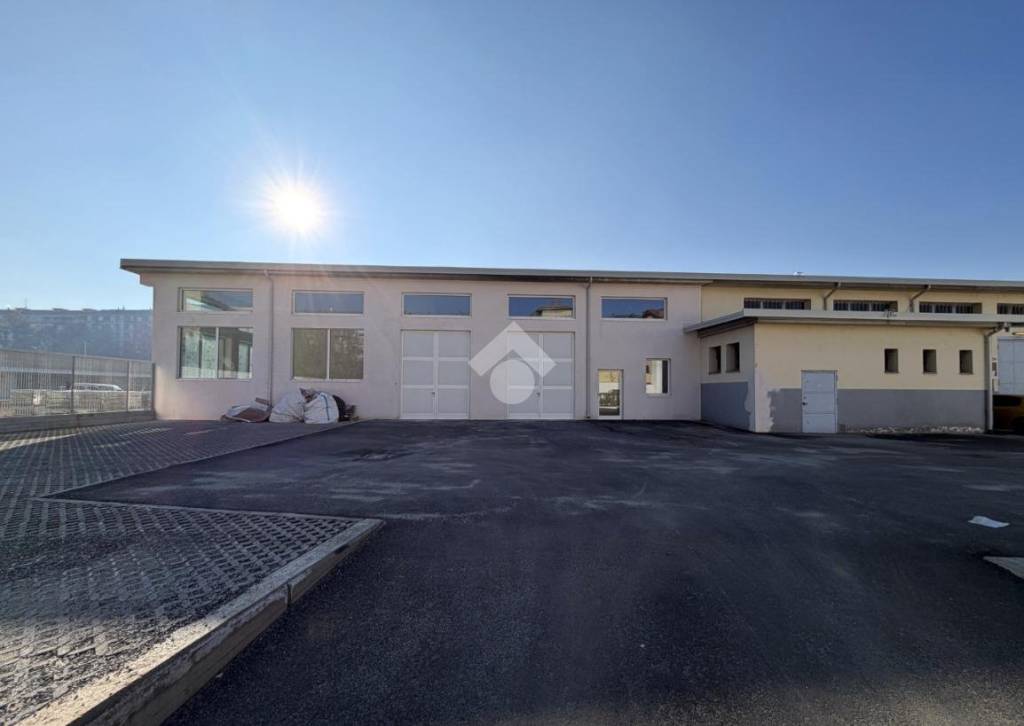 immagine annuncio 2 di 14