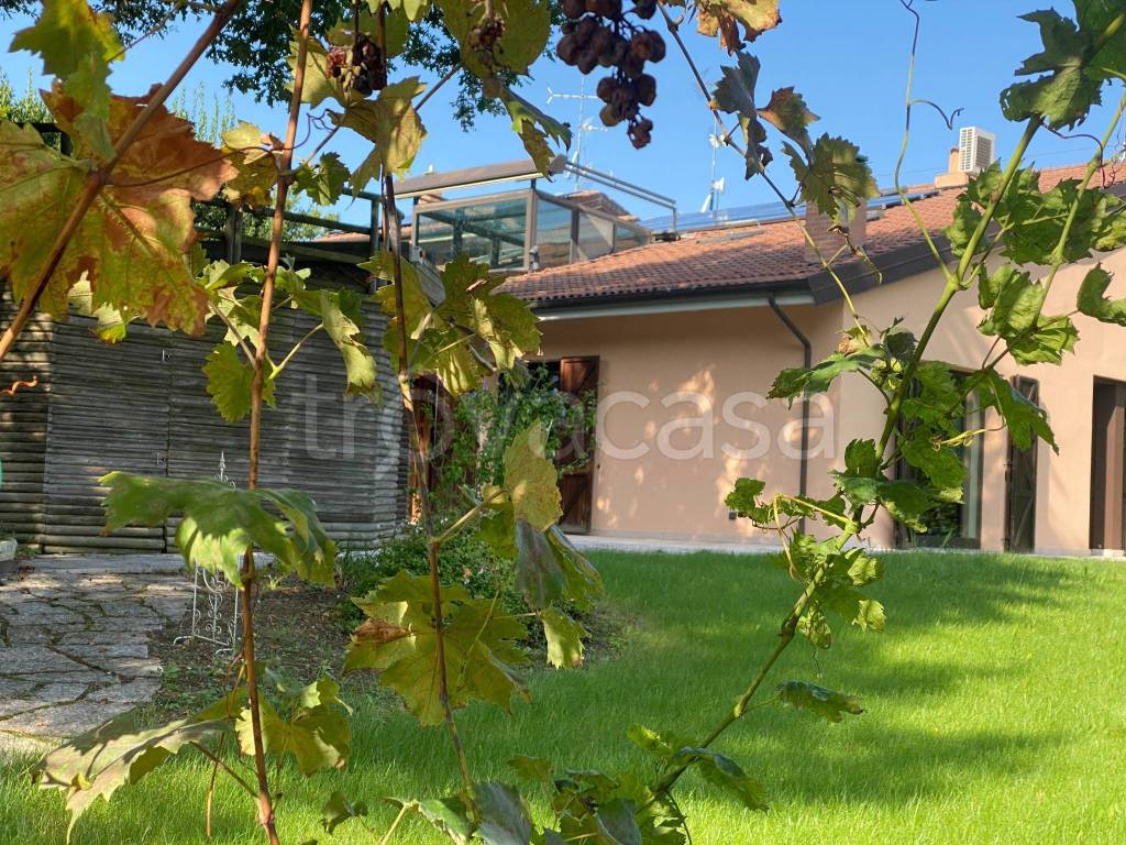 immagine annuncio 4 di 15