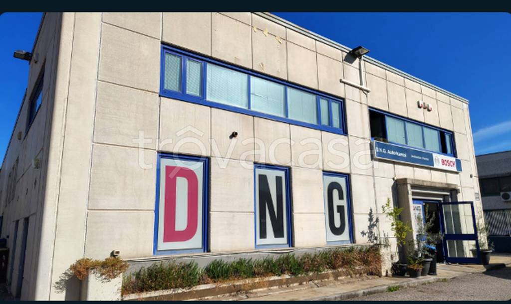 immagine annuncio 1 di 10