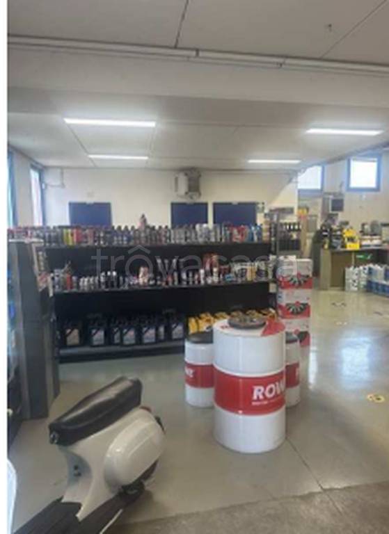 immagine annuncio 8 di 10