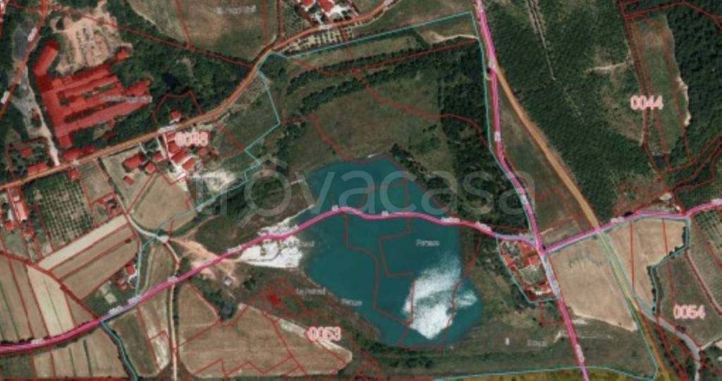 immagine annuncio 11 di 13